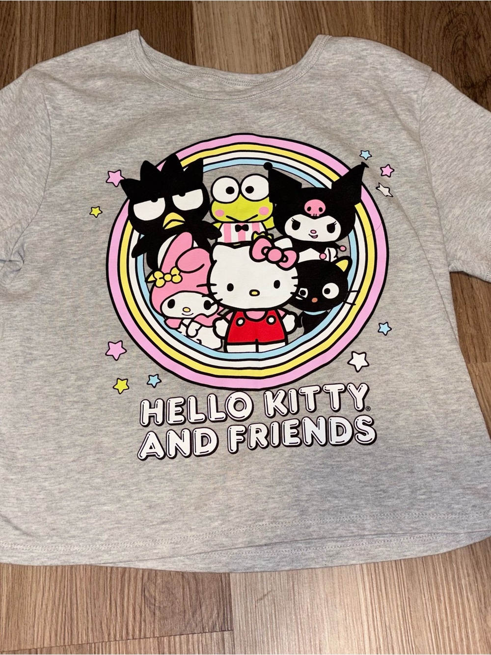 Hello Kitty Girls' Gray Long Sleeve Tee with Colorful Character Graphic